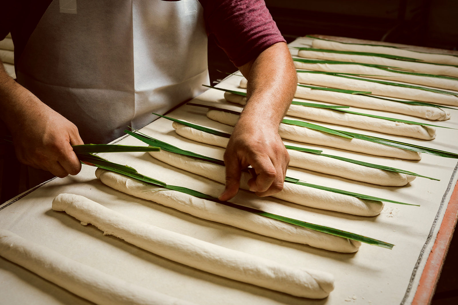 A baker's hands laying a fresh-cut palmetto leaf down the center of a shaped, unbaked Cuban loaf on a flour-dusted proofing board.